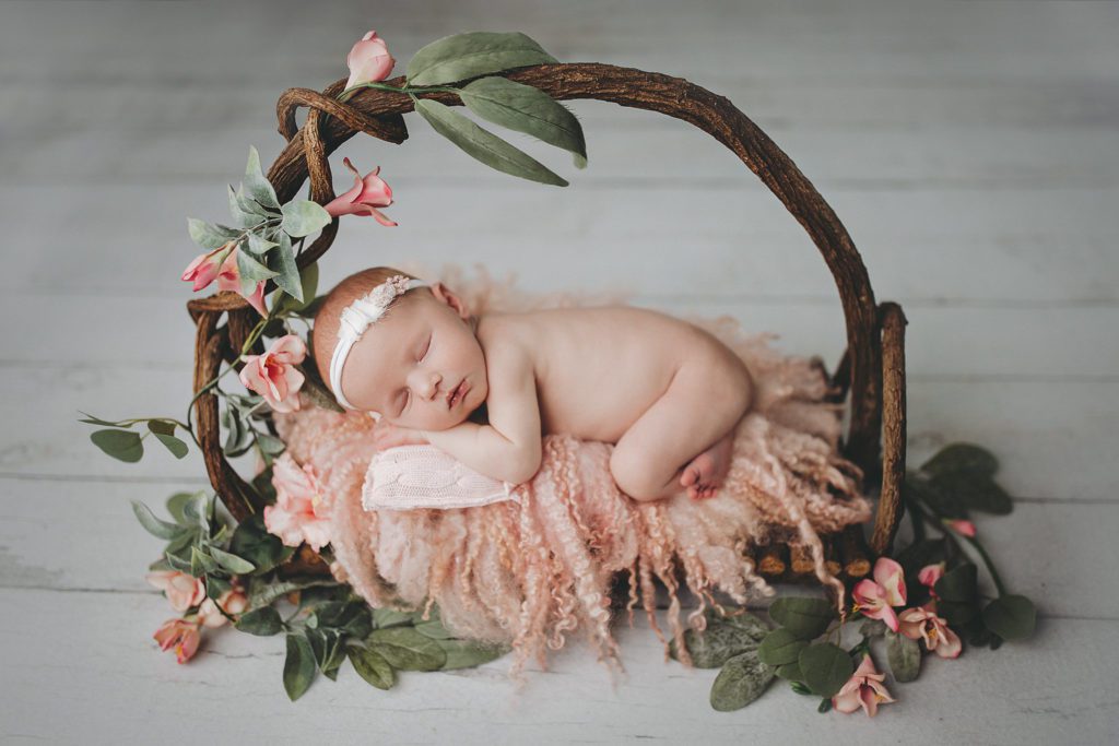 newborn photography prop bed